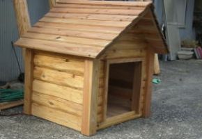 移動が出来るキャスター付の犬小屋です。小屋ごと移動してひなたぼっこが出来ます。